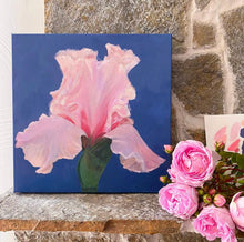 Load image into Gallery viewer, Beverly Sills Iris