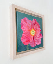 Load image into Gallery viewer, Icelandic Poppy
