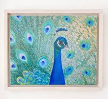 Load image into Gallery viewer, Sun-Dappled Peacock