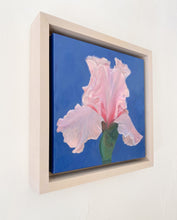 Load image into Gallery viewer, Beverly Sills Iris
