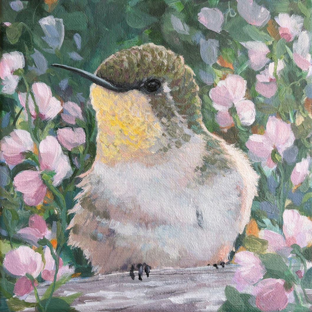 Sunny Sweet Pea