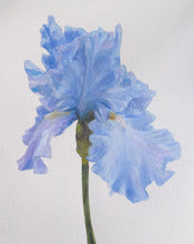 Load image into Gallery viewer, Coastal Iris
