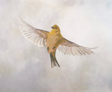 Load image into Gallery viewer, American Goldfinch
