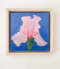 Load image into Gallery viewer, Beverly Sills Iris
