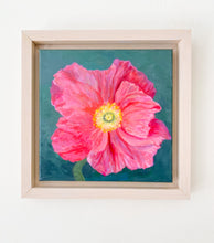 Load image into Gallery viewer, Icelandic Poppy
