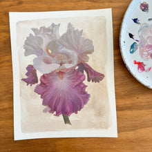 Load image into Gallery viewer, Cozy Iris
