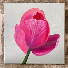 Load image into Gallery viewer, Magenta Tulip
